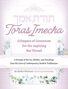 Picture of Toras Imecha [Hardcover]